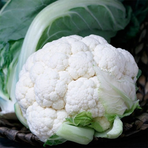 Cauliflower - Twister (4 pack)